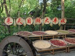 -天目湖山水园