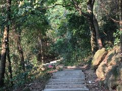 -火炉山森林公园