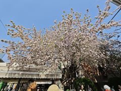 -天津意大利风情旅游区
