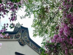 -深圳国际园林花卉博览园