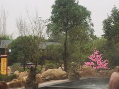 -山湖温泉