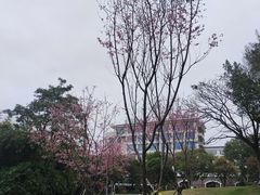 -厦门悦华酒店