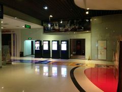 -奥斯卡升龙国际影城(RealD Cinema)