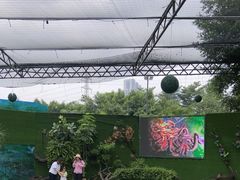 -广州长隆飞鸟乐园