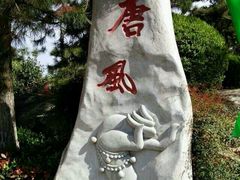 android_upload_pic-中国唐苑