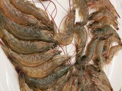 -许鲜生健康生活馆·精细潮菜(奥绅体育公园店)