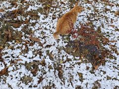 -南京金牛湖风景区