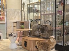 -藏猫猫咖啡主题馆(中央大道店)