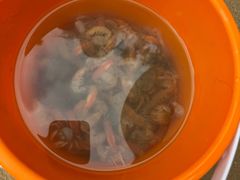 -北海金海湾红树林生态旅游区