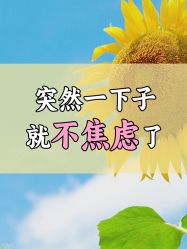 -雅曼妮spa美容养生