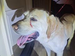 -手帕胡同-地上停车场