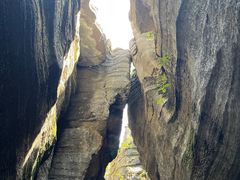 -梭布垭石林景区