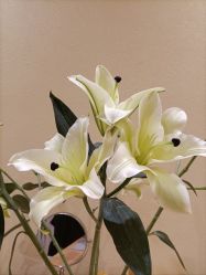 -小颜秘家·韩国整骨