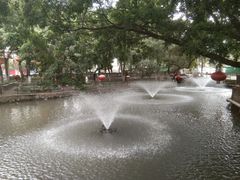 -映月湖公园