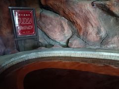 -中家鑫园温泉酒店鑫悦汤泉