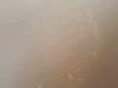 -洪湖家庭农场·团建·露营·会议