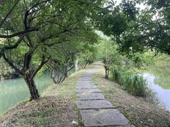 -西溪国家湿地公园