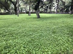-辽宁省实验中学