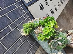 -寂照庵