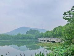 -大蜀山国家森林公园