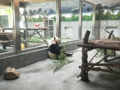 -西安秦岭野生动物园