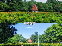 -东莞植物园