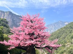 -河南宝泉旅游区
