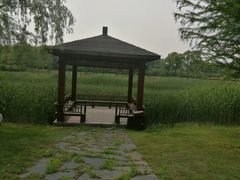 -同里国家湿地公园