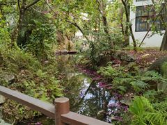 -水底山庄园温泉