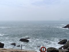 -广东惠东海龟国家级自然保护区