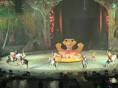 -广州长隆国际大马戏