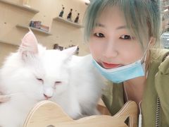 -飞行喵MR PILOT|猫舍·猫咖(静安大融城店)