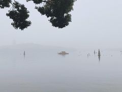 -西湖外事游船(花港观鱼码头)