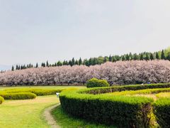 -秦始皇帝陵博物院-丽山园