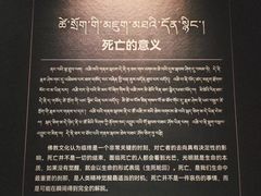 -青海藏文化博物院