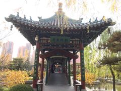 -迎泽公园