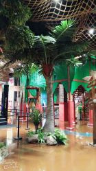 -奇幻丛林(佛罗伦萨小镇店)