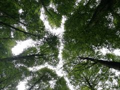 -山王坪喀斯特国家生态公园