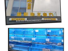 -前王院•巧克力海鲜市集餐厅(万平口店)