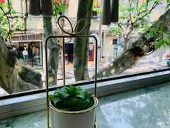 -蝶舍·MAISON PAPILLON