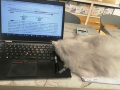 -听TA说宠咖·宠物生活馆(天韵水岸店)