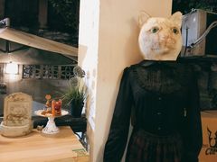 -猫色咖啡·猫咖