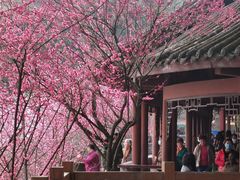 -望江楼公园