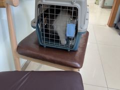 -宠福鑫动物医院(城北分院)