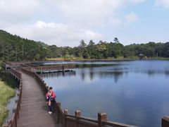 -海南热带雨林国家公园吊罗山景区