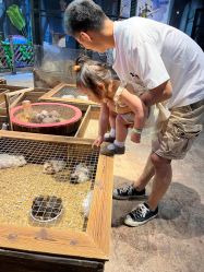 -酷嗒动物文化乐园(cutezoo西溪乐天城店)