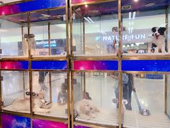 -乐宠宠物店(世纪金源店)