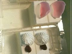 -绿姿鲜奶烘焙(新城花园店)