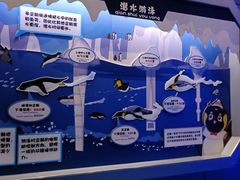 -上海海昌海洋公园