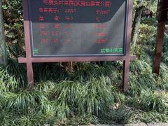 -武夷山风景名胜区-虎啸岩